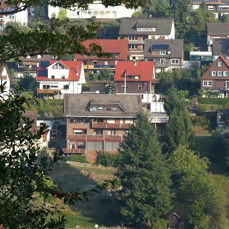Haus Krick Daire Alpirsbach Dış mekan fotoğraf